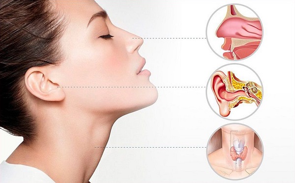 Các bệnh tai mũi họng thường gặp 1