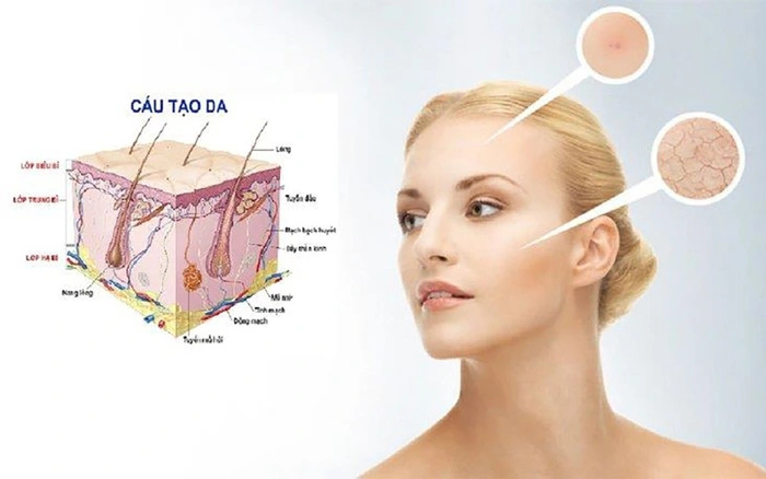 Thiết kế chưa có tên 4