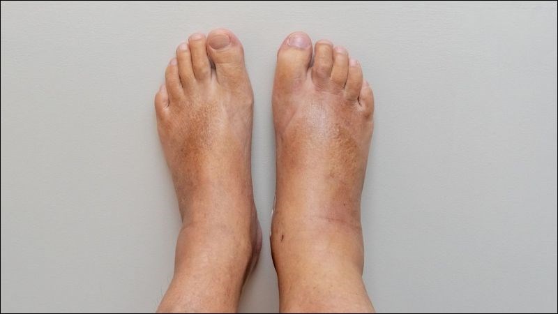 phu-chan-1-800x450-1