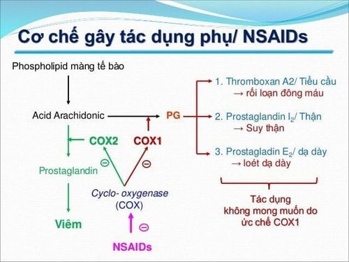 small 20200205 022716 640964 nsaid 3 max 1800x1800 jpg 713d512374