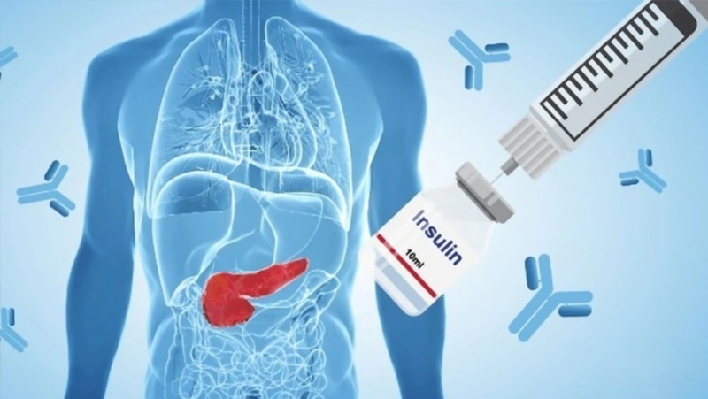 benh-dai-thao-duong-khong-phu-thuoc-insulin-la-gi